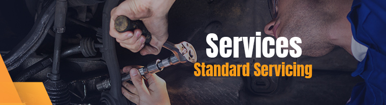 Workshop City Services